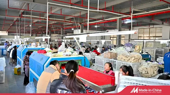 Fashion Comfortable Footwear for Women and Mens EVA Injection Garden Shoes Clogs 